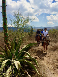 Mexico-Oaxaca-Ocotlan Valley to La Compañía